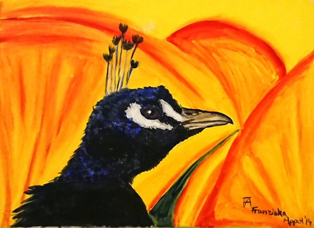 Schönheit, Reichtum, Liebe, Leidenschaft, Unsterblichkeit aber auch Arroganz und Eitelkeit. All dies sind Bekenntnisse, die du dir zusprichst. Auch wenn du dich gerade entschieden hast, deine linke Profilseite zu zeigen und nur dein Kopf und Hals zu betrachten ist, muss dein prachtvolles Kleid aus bunt- blauen Federn erwähnt sein. Dies ist wohl deine wichtigste Besonderheit und es ist fast schon unnahbar königlich. Ebenso wie dein Kopfschmuck, deine Krone also. Senkrecht aufgestellt ist sie und besteht aus schmalen dünnen Federn die sich am Ende zu kleinen Federbüscheln zusammen tragen. Dein dunkel braun- beiger Schnabel ist leicht erhoben, oder besser beschrieben: ehrwürdig dargestellt. Ein von den Nasenlöchern bis zum Auge reichendes, schmales Band sowie eine breite, halbovale Fläche unter dem Auge ist weiß und nackt. Einen zufriedenen Blick hat dein oval braunes Auge, darin ein weißer Schimmer. Mit unzähligen gleichmäßig- liegenden- dunkelblauen Federn ist auch dein Kopf verziert. In mitten vom Gemälde hast du dich platziert. Um dich herum drei tanzende rot- gelbe Fächer die schwungvoll ineinander übergehen. Eine Art Choreografie die dich angenehm aus dem Hintergrund heraus untermalt. Fast ist mir so als würde ich tanzen wollen, alles bewegt sich auf einmal im fassettenreich- lebhaften Farbgewand. Doch du zeigst weiterhin ganz unberührt Stolz. Wie du es immer tust – eitler ansehnlicher Pfau.